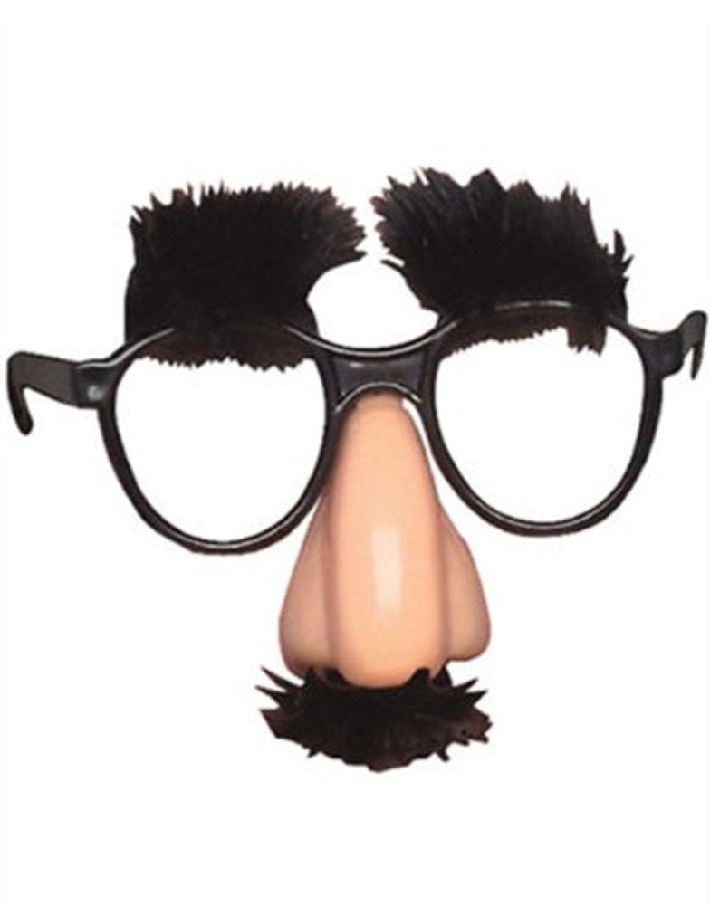 Rhode Island Novelty Rhode Island Novelty Child's Disguise Glasses, One Pair 