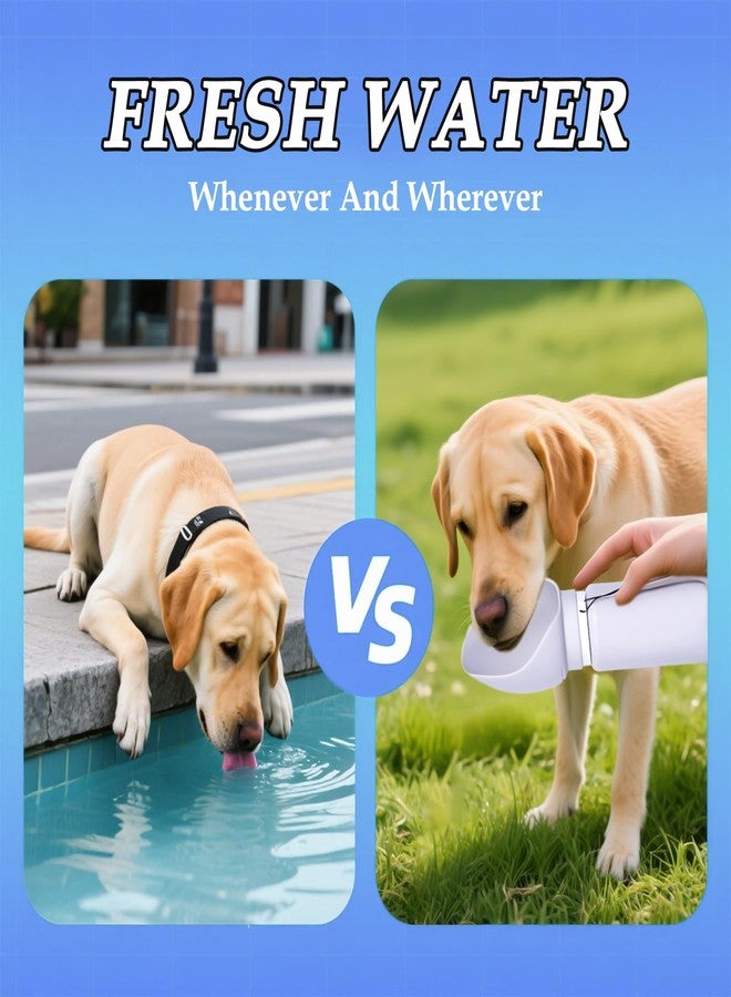 Soulagers Dog Water Bottle, Silicone Foldable Bottle for Pets, Portable Pet Water Dispenser, Outdoor Travel Dog Drink, Walking Cat Drink Cup - Image 4