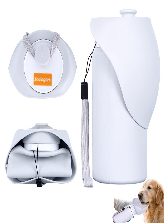 Soulagers Dog Water Bottle, Silicone Foldable Bottle for Pets, Portable Pet Water Dispenser, Outdoor Travel Dog Drink, Walking Cat Drink Cup - Image 1