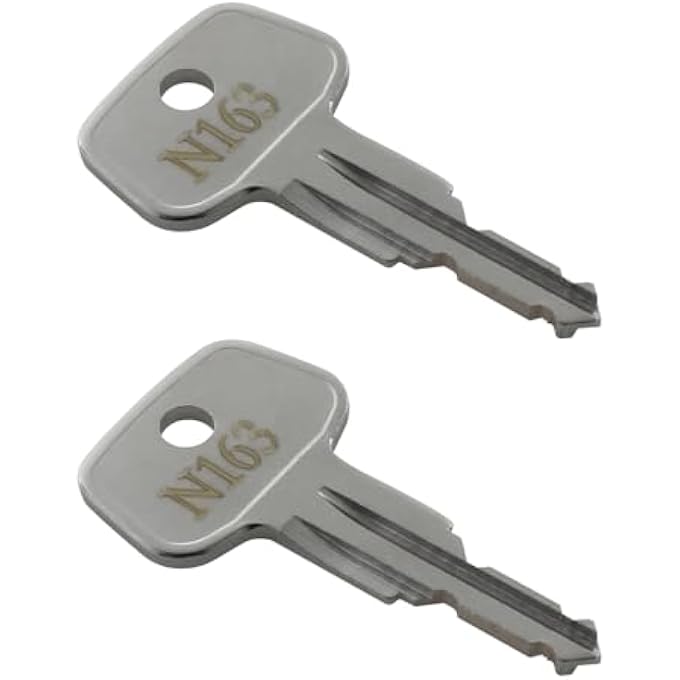 rayihni N163 Car Rack Keys for Yakima and Thule Ski,Roof,Cargo Box,Carrier Racks and Crossbars-Codes N163[2 Pack] - Image 1