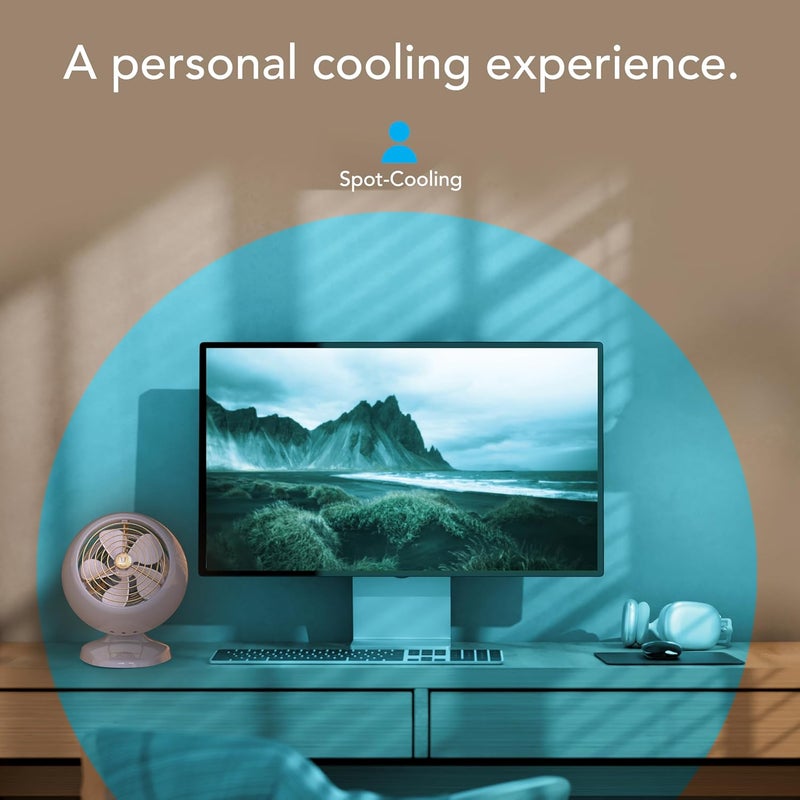 Vornado مروحة VFAN™ الصغيرة، مروحة كلاسيكية عتيقة، مروحة هواء معدنية، للمكتب وجانب السرير، سرعتان، ميل قابل للتعديل، تبريد شخصي مع تدفق هواء مستهدف، هادئة، خشب متجرف - Image 2