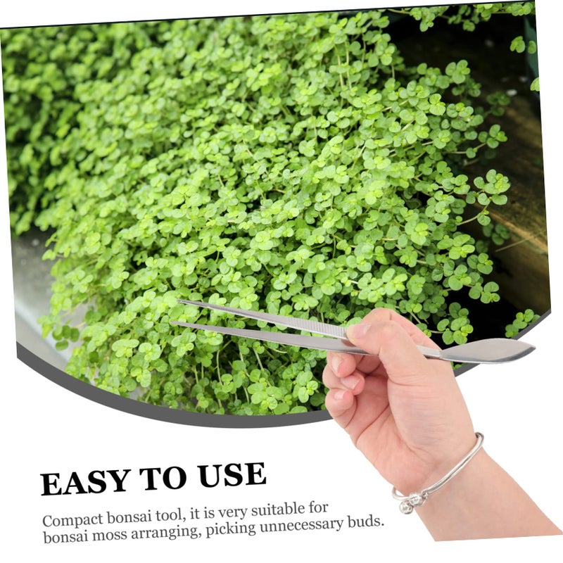 Bonsai Tool Kit 3 Piece Set With Tweezer Spatula And Scraper For Moss Tree Care - Image 5