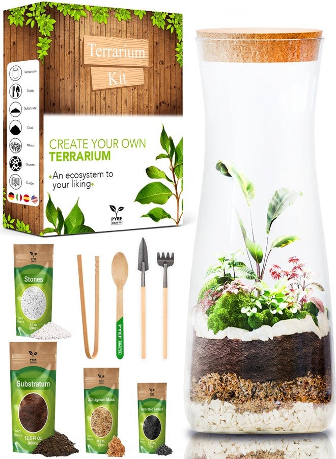 PYEF CRAFTS DIY Terrarium Kit for Plants - Terrarium Starter Kit for Garden in Bottle - Self Sustaining Ecosystem - Plant Terrarium Kit with Jar - No Plant (Kit with Jar) - Image 1