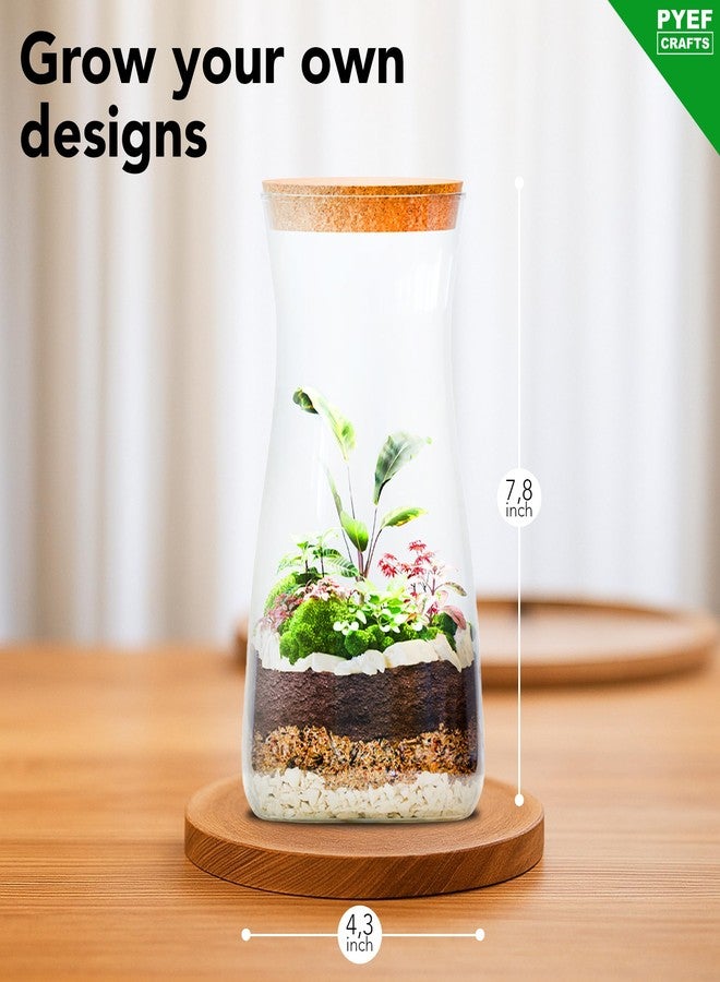 PYEF CRAFTS DIY Terrarium Kit for Plants - Terrarium Starter Kit for Garden in Bottle - Self Sustaining Ecosystem - Plant Terrarium Kit with Jar - No Plant (Kit with Jar) - Image 4