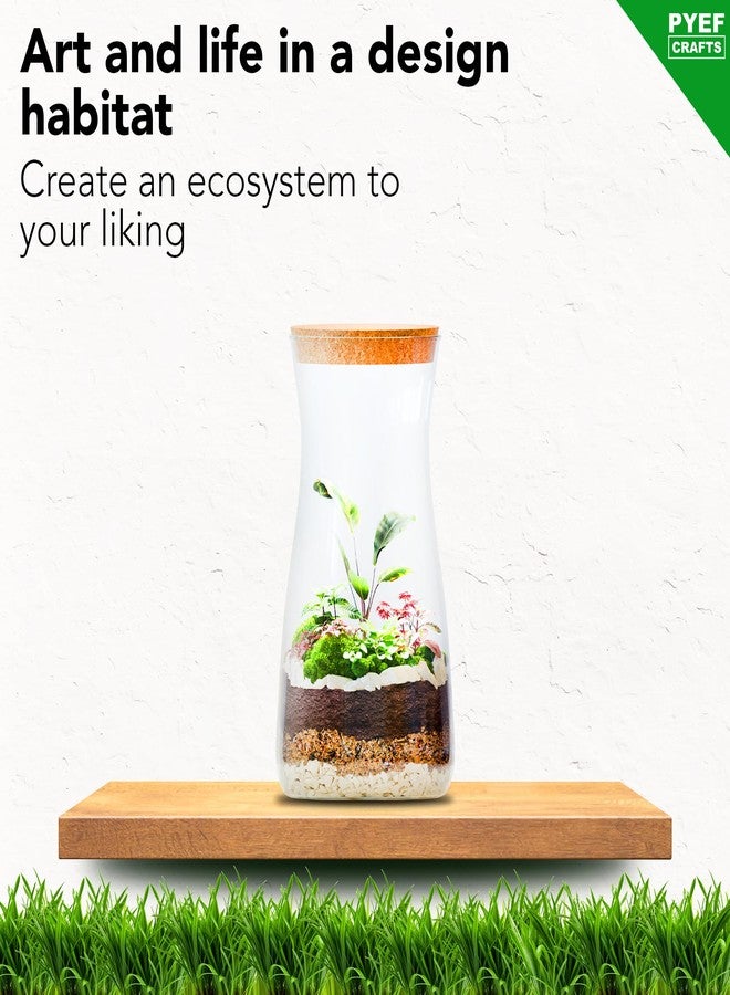 PYEF CRAFTS DIY Terrarium Kit for Plants - Terrarium Starter Kit for Garden in Bottle - Self Sustaining Ecosystem - Plant Terrarium Kit with Jar - No Plant (Kit with Jar) - Image 2