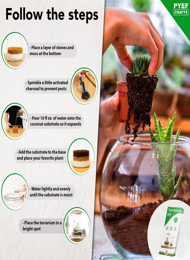 PYEF CRAFTS DIY Terrarium Kit for Plants - Terrarium Starter Kit for Garden in Bottle - Self Sustaining Ecosystem - Plant Terrarium Kit with Jar - No Plant (Kit with Jar) - Image 3