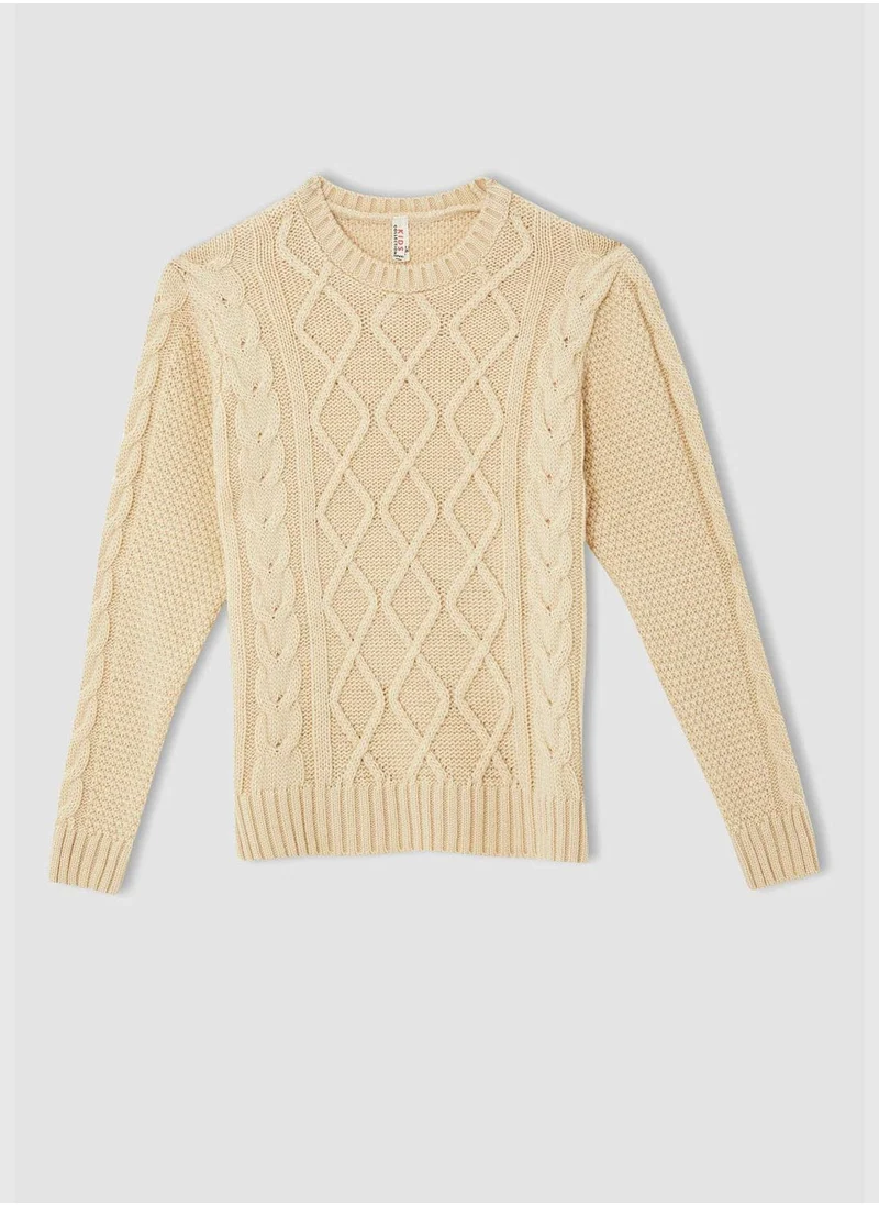 DeFacto Long Sleeve Knitted Jumper