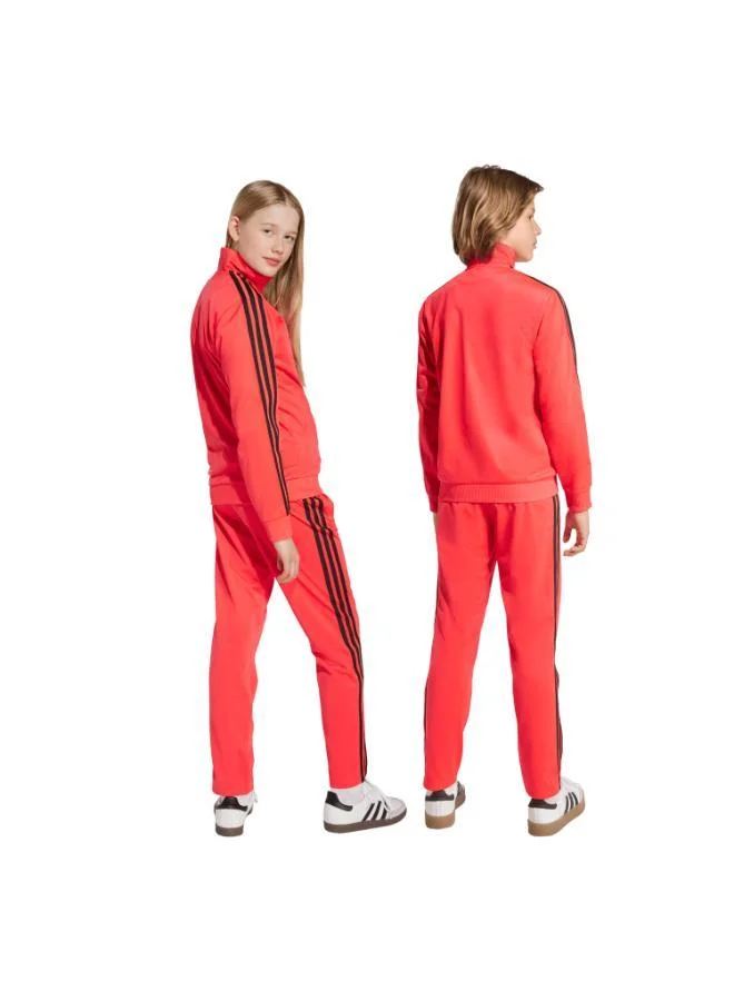 adidas Originals firebird adicolor pants