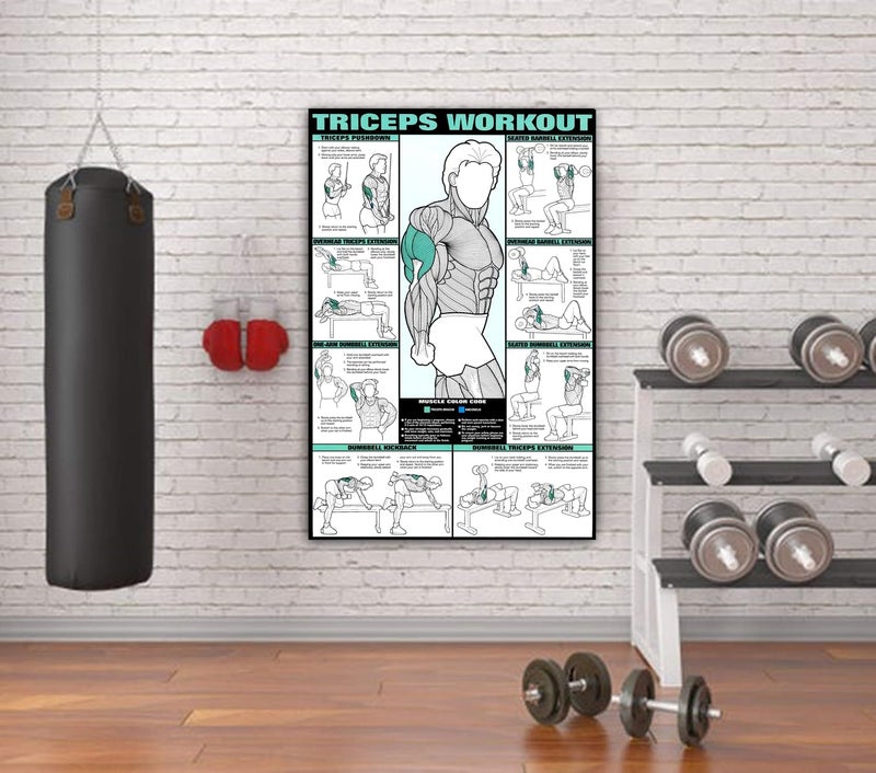 PIXELARTZ Wall Poster Triceps Motivational Workout and Exercises Illustrations Bodybuilding Gym Posters HD Quality Posters for Home, Office, Room, Gym Wall - Multicolor (604) - Image 3