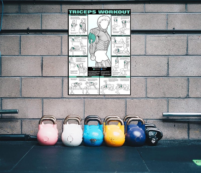 PIXELARTZ Wall Poster Triceps Motivational Workout and Exercises Illustrations Bodybuilding Gym Posters HD Quality Posters for Home, Office, Room, Gym Wall - Multicolor (604) - Image 4