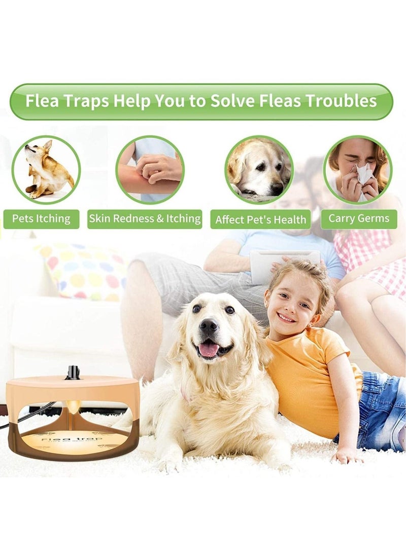 Sticky Dome Indoor Flea Traps Comes with Sticky Pads and Refills Safe for Children and Pets - Image 2
