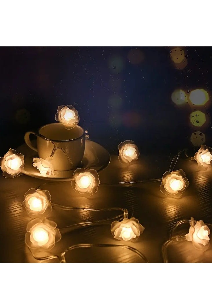 Oasis Casa 3M 20 LED Rose Flower String Lights – Warm White Battery Operated (2xAA), Constant On Mode, Romantic Fairy Lights for Bedroom, Wedding, Party, Indoor Home Decor  - Image 1