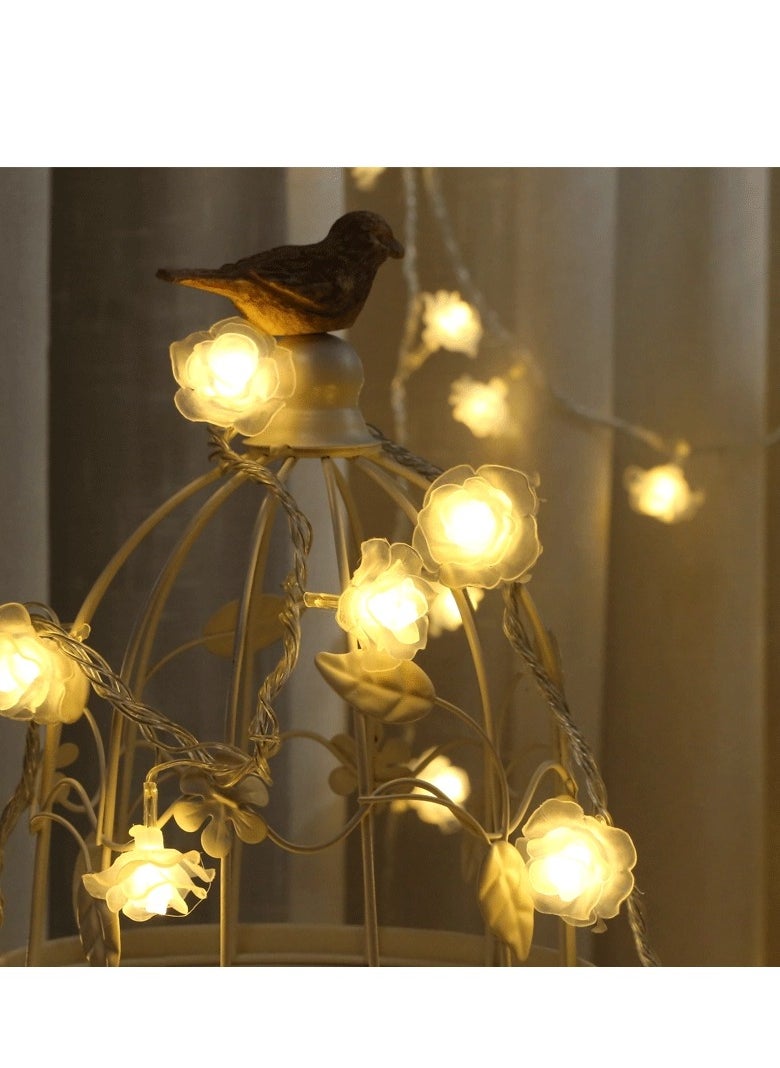 Oasis Casa 3M 20 LED Rose Flower String Lights – Warm White Battery Operated (2xAA), Constant On Mode, Romantic Fairy Lights for Bedroom, Wedding, Party, Indoor Home Decor  - Image 3