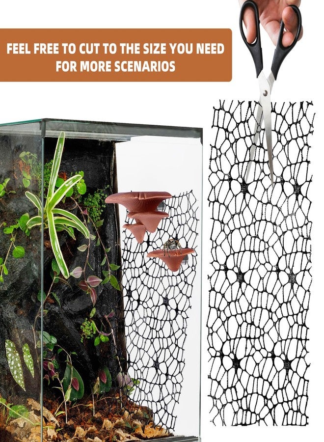 Cynailli Jumping Spider Hide Habitat Accessories, Brown Jumping Spider Mushroom Shelf Magnetically Concealed, Jumping Spider Web with Magnets, Jumping Spider Enclosure Climbing and Feeding Platforms - Image 5