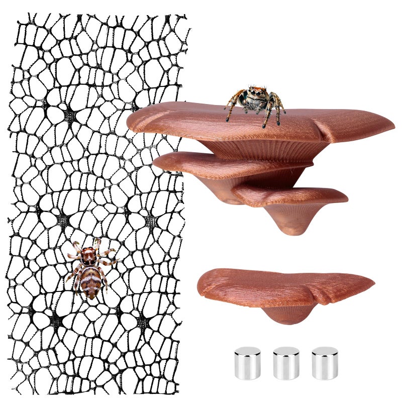 Cynailli Jumping Spider Hide Habitat Accessories, Brown Jumping Spider Mushroom Shelf Magnetically Concealed, Jumping Spider Web with Magnets, Jumping Spider Enclosure Climbing and Feeding Platforms - Image 1
