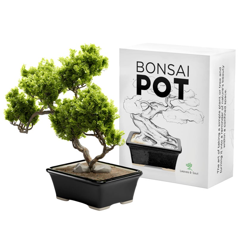 Glazed Ceramic Bonsai Pot  Decorative Planter for Dwarf Trees Succulents and Small Plants  Perfect for Indoor and Outdoor Gardens Table Centerpieces and Windowsill Dcor  Green Oval