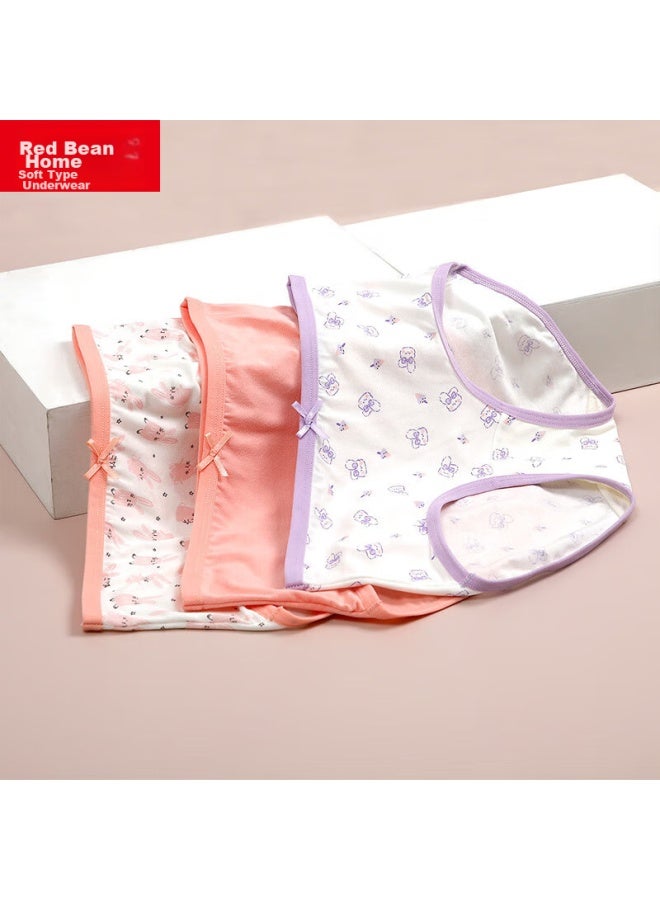 HOdo Home Hodohome Children's Underwear, Girls' 40s Modal 3a Antibacterial Crotch Triangle Shorts, For Older Girls, Underpants 002, Size 150  - Image 2