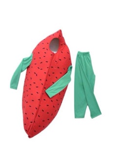 Oulabi Mir Watermelon Costume - 8/9 yrs old  - Image 2