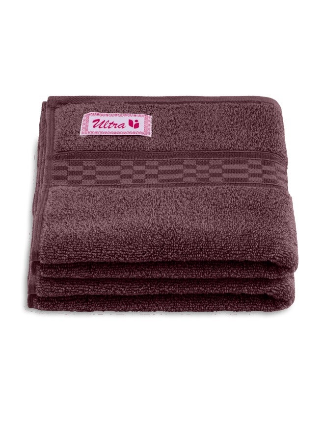 BYFT Home Ultra (Burgundy) Premium Cotton Hand Towel (50 X 90 Cm-Set Of 2) Highly Absorbent, High Quality Bath Linen With Checkered Dobby 550 Gsm - Image 2