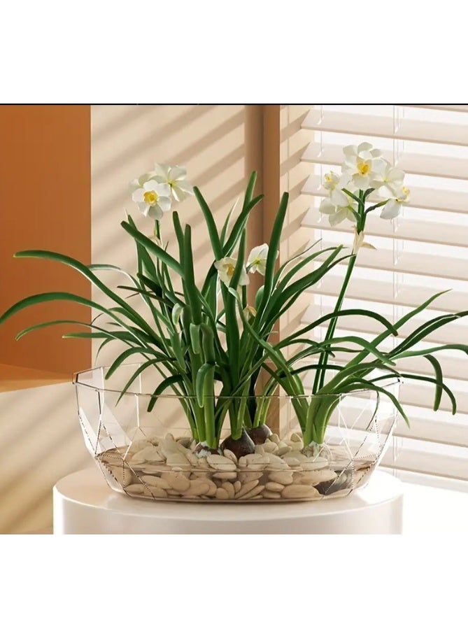 الواحة-TH عينة ماء نبات مائي أصيص زهور سطح المكتب المكتب المنزلي زنبق الماء عملة نحاسية عشب زنبق الماء مزهرية شفافة متينة عبوة من قطعة واحدة - Image 2