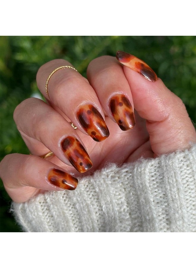طلاء أظافر على شكل سلحفاة برتقالي جيلي جل طلاء أظافر كريستال شفاف شفاف شفاف أحمر مرجاني رمادي كهرمان بني تصميمات الخريف مانيكير منزلية بالأشعة فوق البنفسجية LED نقع قبالة هدية فنية (Kbt600201) - Image 2