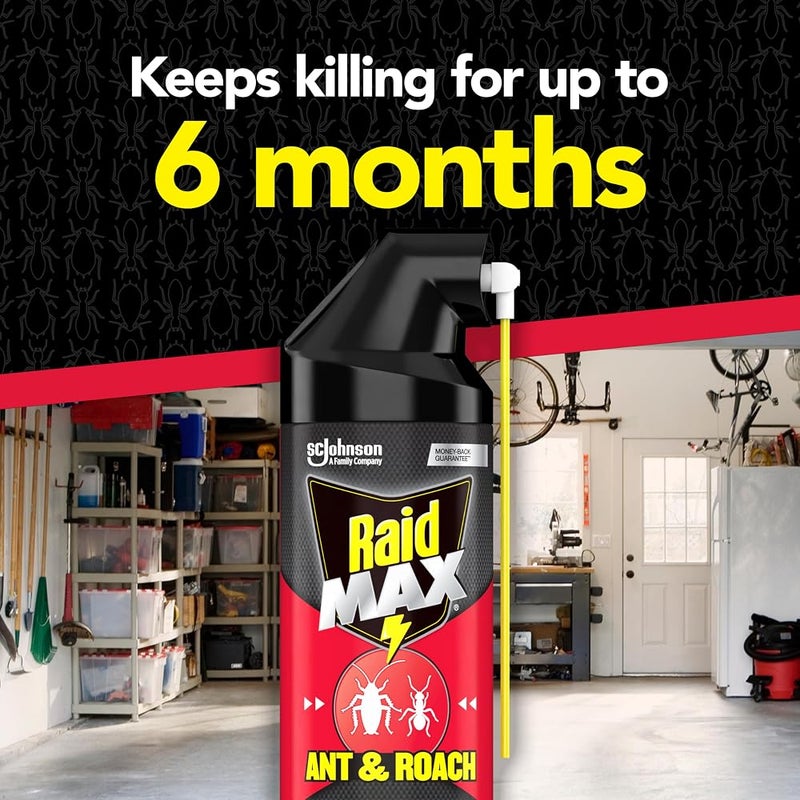 ريد رذاذ Raid Max Ant & Roach Spray: يقتل النمل والصراصير والحشرات الأخرى فور التلامس، يبقي الحشرات المذكورة فعالة لمدة 6 أشهر، سعة 14.5 أونصة - Image 2