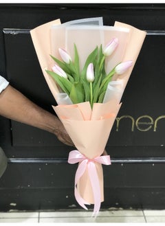 Tulip Delight
