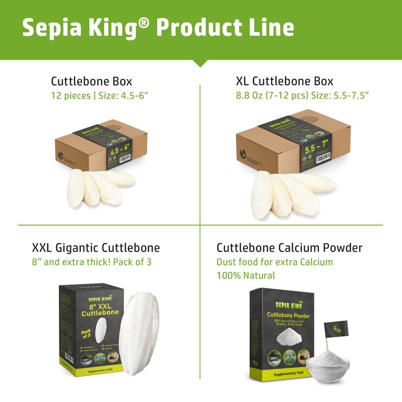 Sepia King سيبيا كينغ - مسحوق - مكمل كالسيوم طبيعي 100% - عظم cuttlebone ممتاز للطيور، السلاحف، الحلزونات، الزواحف - 3.5 أونصة - Image 5