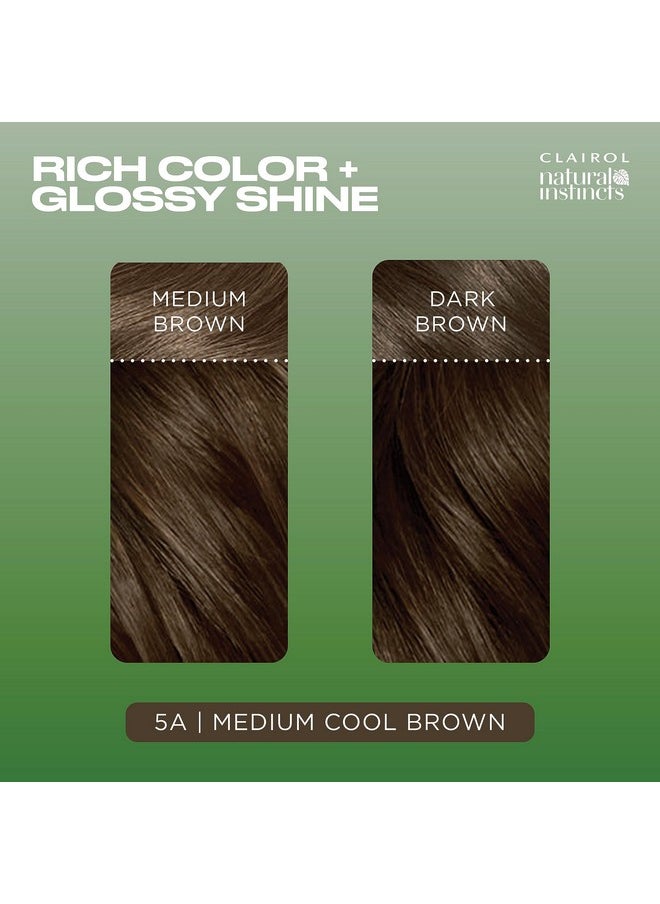CLAIROL - Natural Instincts Demipermanent Hair Dye 5A Medium Cool Brown Hair Color Pack Of 3 - Image 1