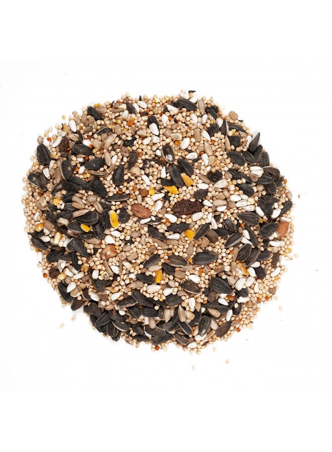 Wagner's 62034 Greatest Variety Blend Wild Bird Food, 6-Pound Bag - Image 3
