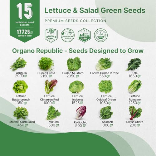 Organo Republic أورجانو ريبابليك 15 مجموعة متنوعة من بذور الخس والخضروات الورقية 17700+ بذور خس تراثية غير معدلة وراثياً للزراعة الداخلية والخارجية، الزراعة المائية، إيروجاردن - جرجير، كرنب، سبانخ، سلق سويس، خس - Image 3