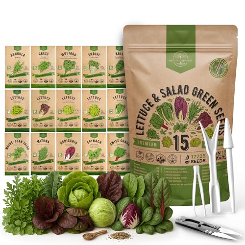 Organo Republic أورجانو ريبابليك 15 مجموعة متنوعة من بذور الخس والخضروات الورقية 17700+ بذور خس تراثية غير معدلة وراثياً للزراعة الداخلية والخارجية، الزراعة المائية، إيروجاردن - جرجير، كرنب، سبانخ، سلق سويس، خس - Image 1