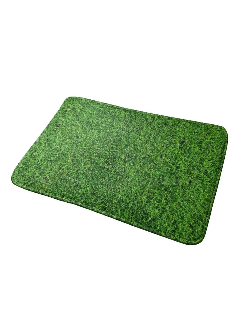 Generic Artificial Grass Door Mat for Front Door, Bathroom and Office 60x40 cm  - Image 1