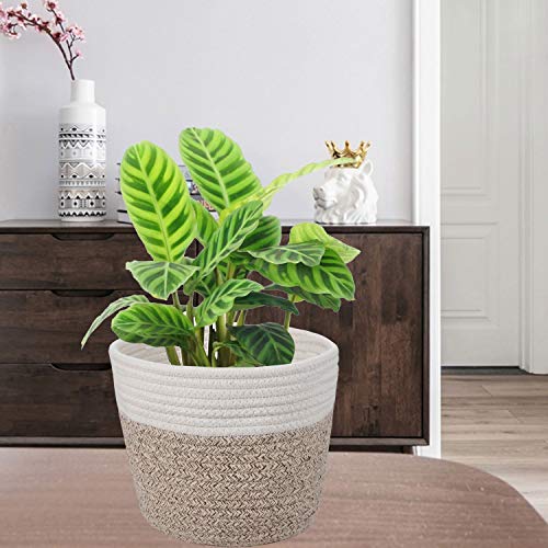 Oradrem Cotton Rope Plant Basket Modern Woven Basket for 6" Flower Pot Floor Indoor Planters,Rustic Home Decor Storage Organizer H6 3/4" x W6 1/2" - Image 3