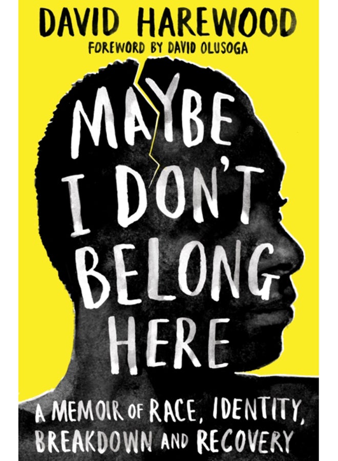 Maybe I Don't Belong Here : A Memoir of Race, Identity, Breakdown and Recovery