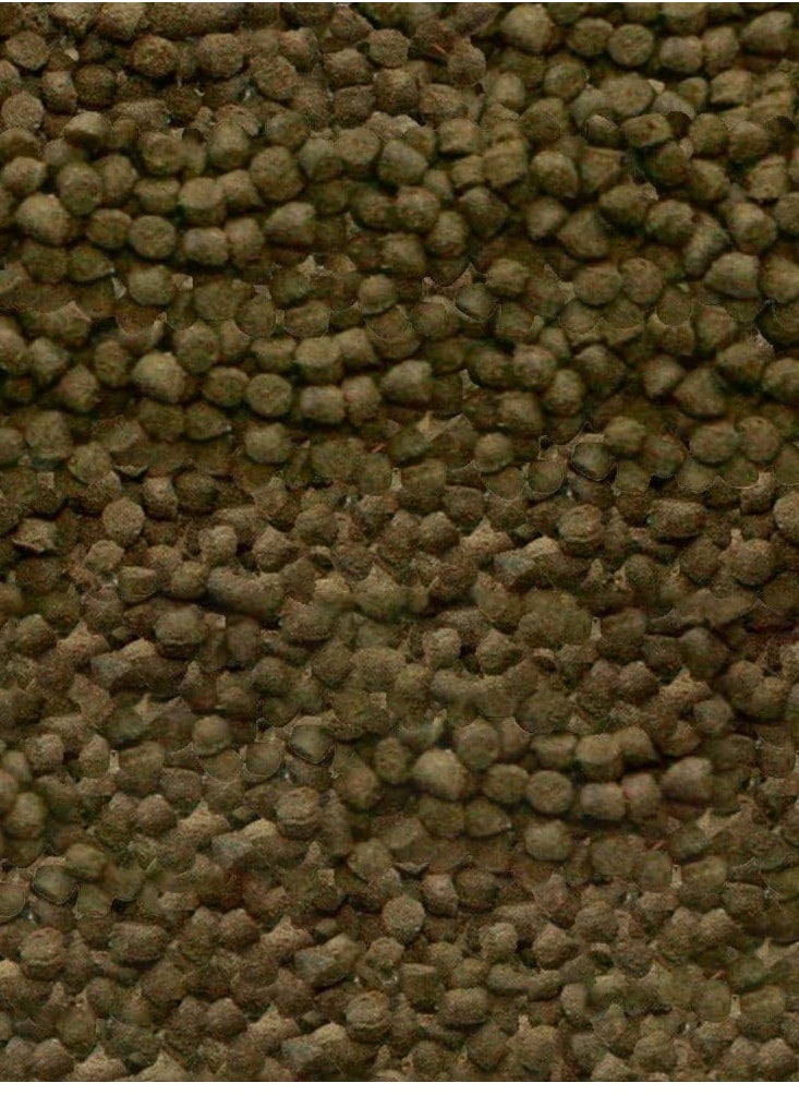 Sera - Shrimps Natural Staple Food 100Ml - Image 1