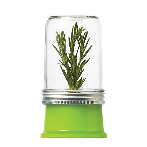 Jarware Herb Saver Lid for Wide Mouth Mason Jars, Green - Image 1