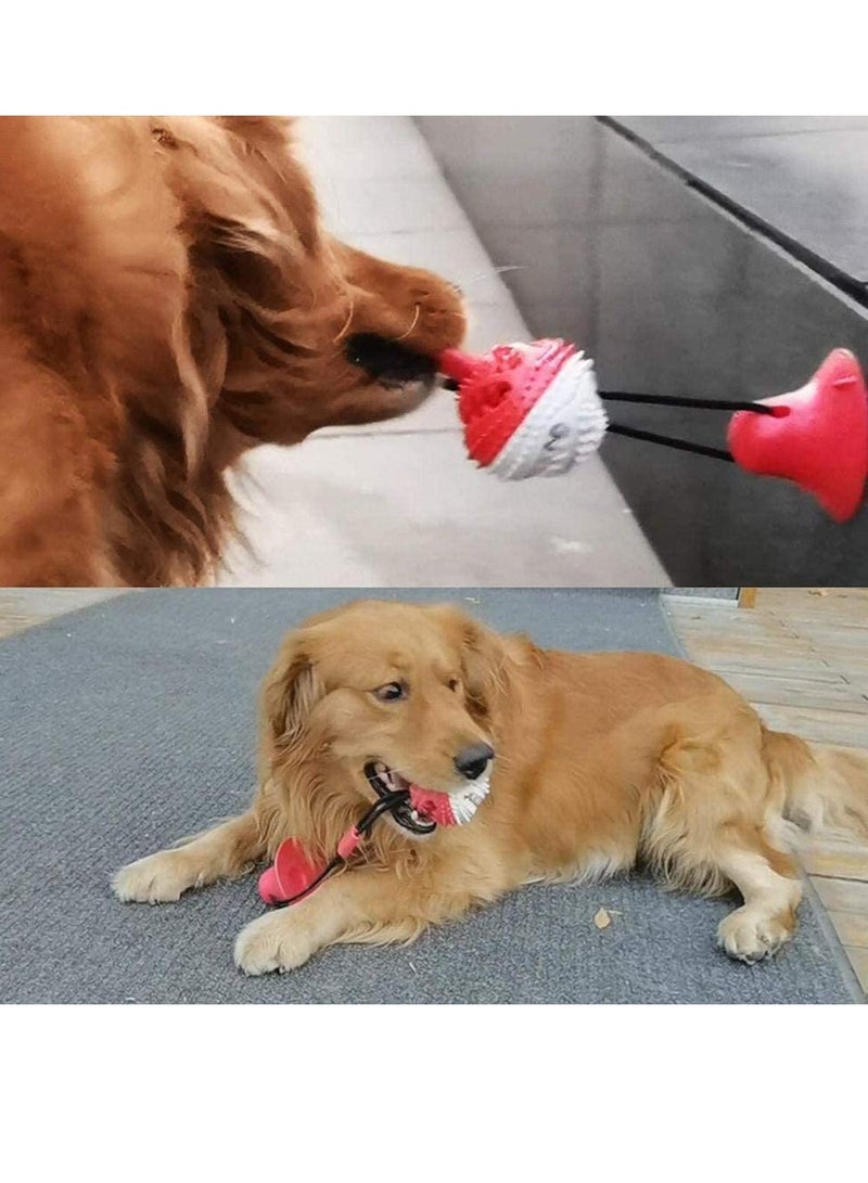 Barakah Multifunction Molar Bite Toy Durable Dog Tug Rope Ball Chew Toys with Suction Cup - Image 4