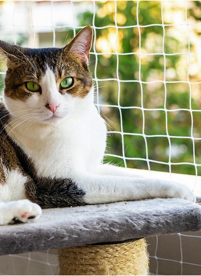 HomarKet - Transparent Cat Safety Net Cat Net for Balcony and Windows Durable Cat Protection mesh, Balcony Pet Safety Net Anti jumping Window Fence Net Nylon Garden net with Fixing Rope and Hooks 3x6m - Image 1