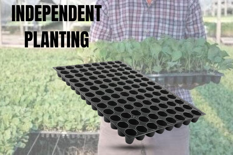 Halsey Germination Seedling Trays -Black,104 Holes Germination Tray for Seedling, Nursery Tray for Plants, Reusable Tray for Garden Plantation (Pack of 100 Trays) - Image 5
