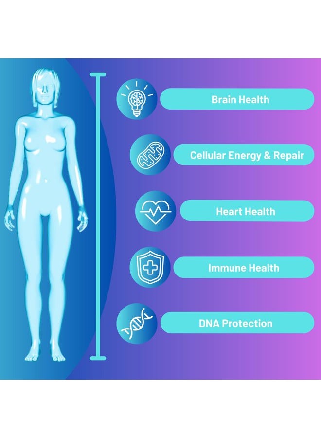 Advanced Bionetix مكمل NAD مع نيكوتيناميد ريبوسيد بالإضافة إلى ريسفيراترول وكيرسيتين وبيتاين مع ريبويونغ لمكافحة الشيخوخة الحقيقية - Image 2