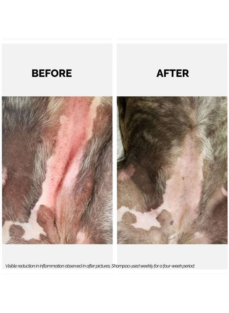 Moe Puppy Xtra Nourish Pet Shampoo for Itch Relief & Moisturize Dry Coat| Helps Soothe Itchy Skin | Sulfate & Paraben Free | pH Balanced for Dogs & Cats (300 ML) - Image 5