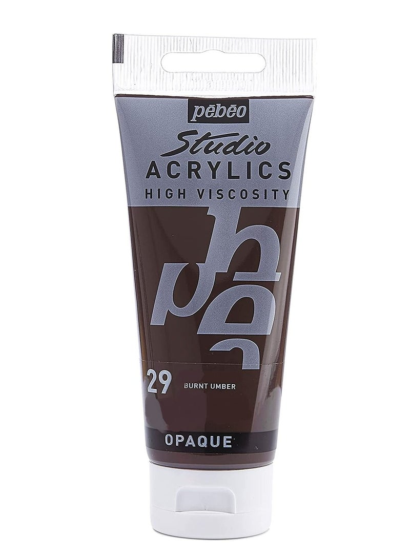 Pebeo Studio Acrylics High Viscosity 100 ml Burnt Umber 29 - Image 1
