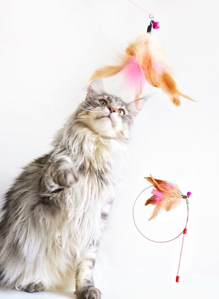 1pc Cat Feather Toys Retractable Interactive Cat Toys for Indoor Cats, Cute Cat Chew Toys, Kitten Fun Door Hanging, Wire Chaser Wand Teaser Feather Toy - Image 5