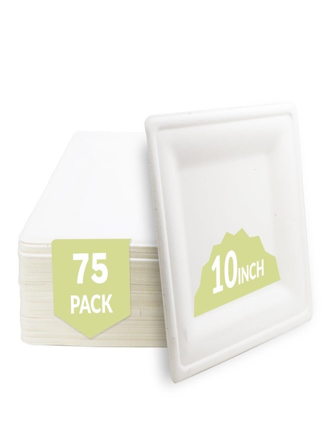 Klex Compostable 10"x10" Sugarcane Plates (75-Pack) Disposable Eco-Friendly Biodegradable Sugarcane Bagasse Plate, Square, 10 Inch, 75 Count - Image 1