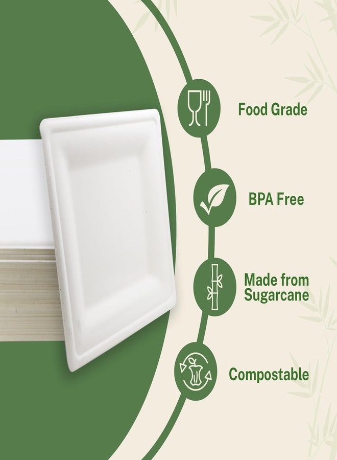 Klex Compostable 10"x10" Sugarcane Plates (75-Pack) Disposable Eco-Friendly Biodegradable Sugarcane Bagasse Plate, Square, 10 Inch, 75 Count - Image 2