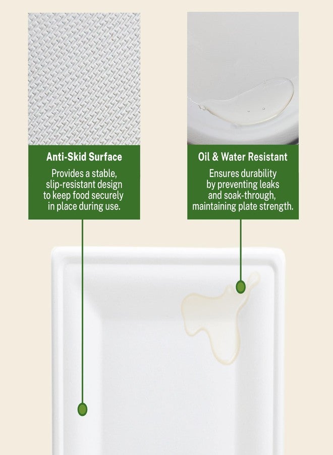 Klex Compostable 10"x10" Sugarcane Plates (75-Pack) Disposable Eco-Friendly Biodegradable Sugarcane Bagasse Plate, Square, 10 Inch, 75 Count - Image 4