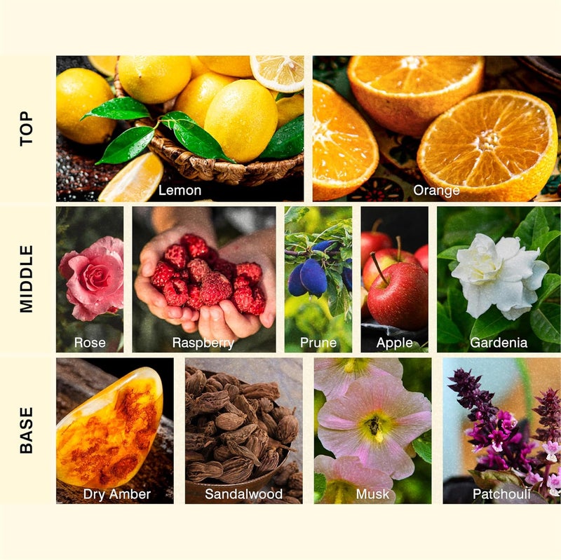 ISCENT | Atlantis – Fragrance Oil Refill for Ensō Mini Diffuser 10ml | Lemon, Orange, Apple, Raspberry, Gardenia & Rose for Home & Car | Bright Fruity Florals & Soft Woods - Image 2