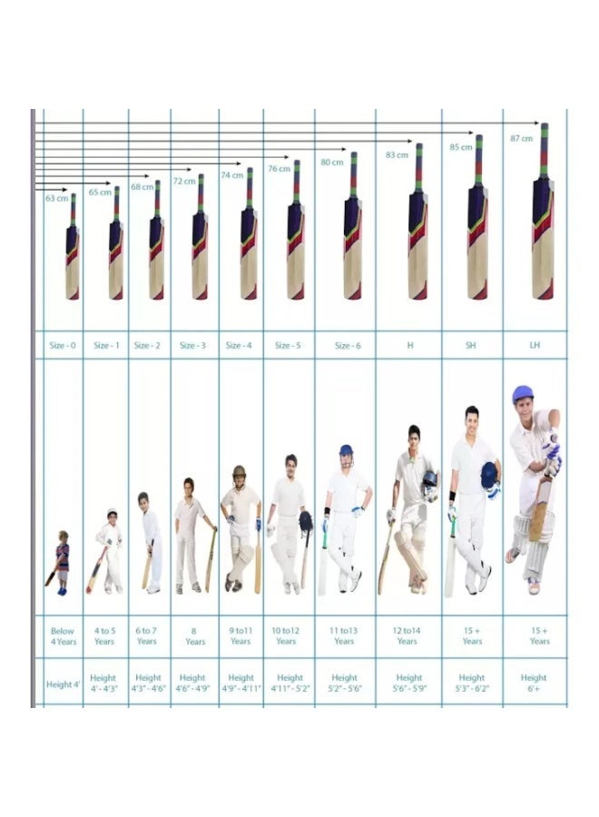 إم آر إف مضرب كريكيت من MRF Power 1.0 – خشب صفصاف إنجليزي – مقاس SH (مقبض قصير) - Image 5