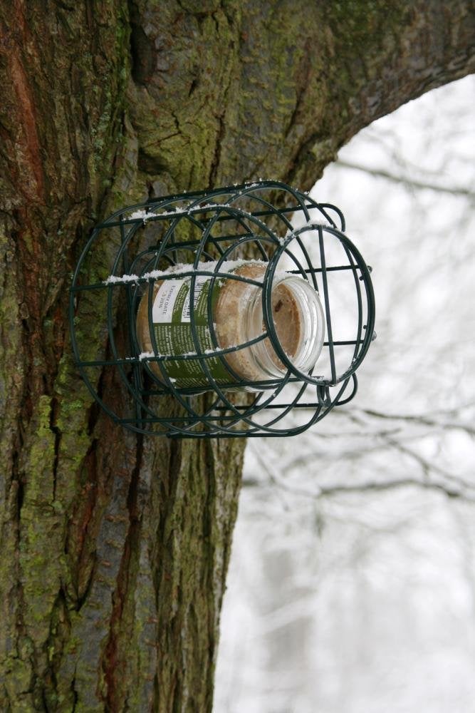 Esschert Design FB289 Squirrel Proof Peanut Butter Feeder - Image 3